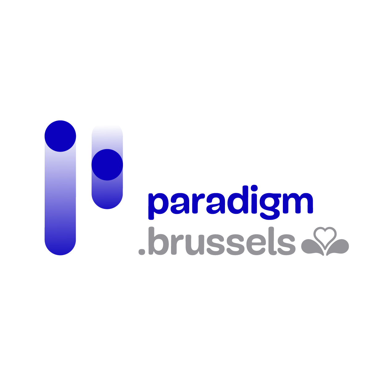 Paradigm (Centre d'Informatique pour la Région Bruxelloise)